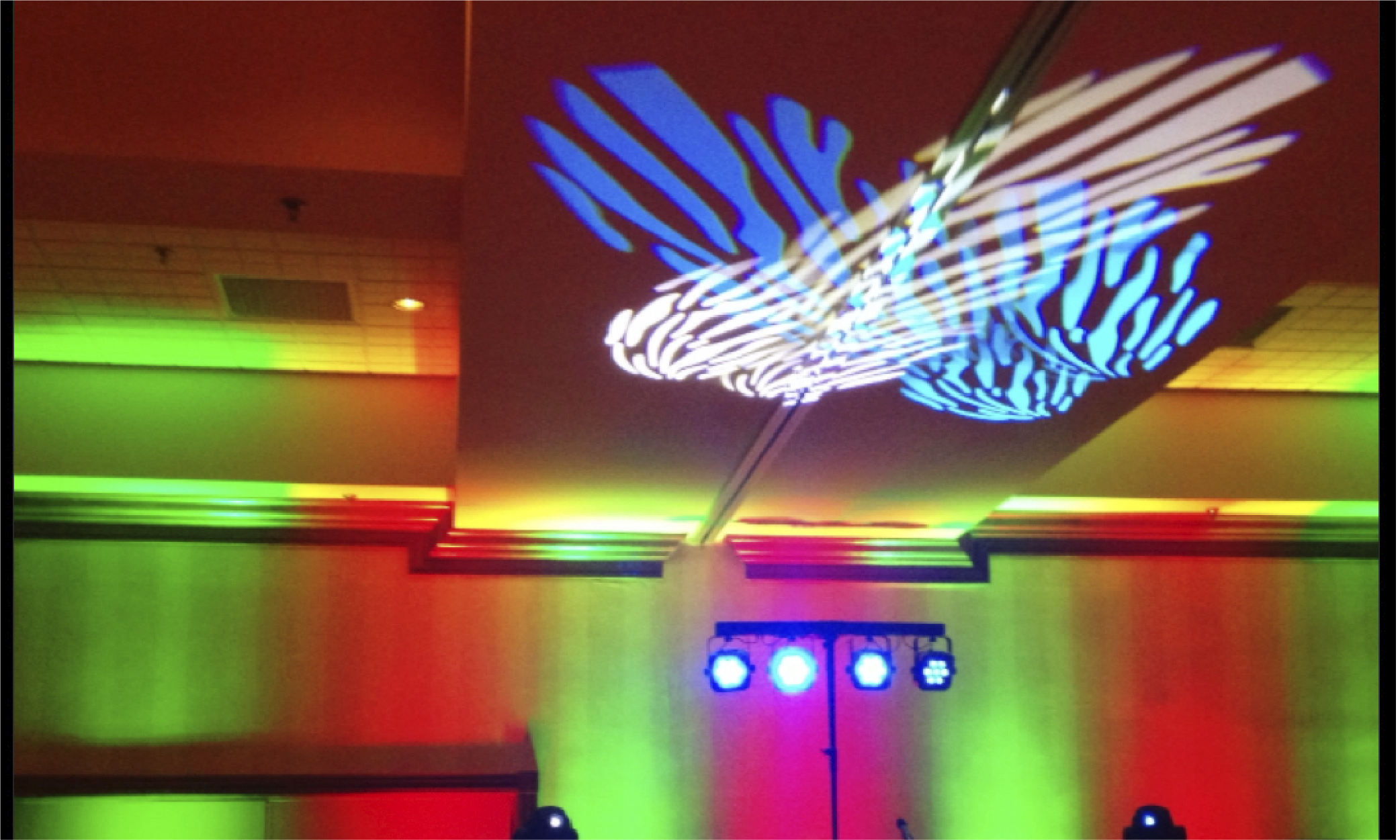 Præstation trappe tit Knoxville Professional Event Lighting Services | Music in Motion DJ &  Lighting